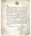 MEDECINE - CERTIFICAT DE SERVICE. Pièce en partie imprimée (E 10455)